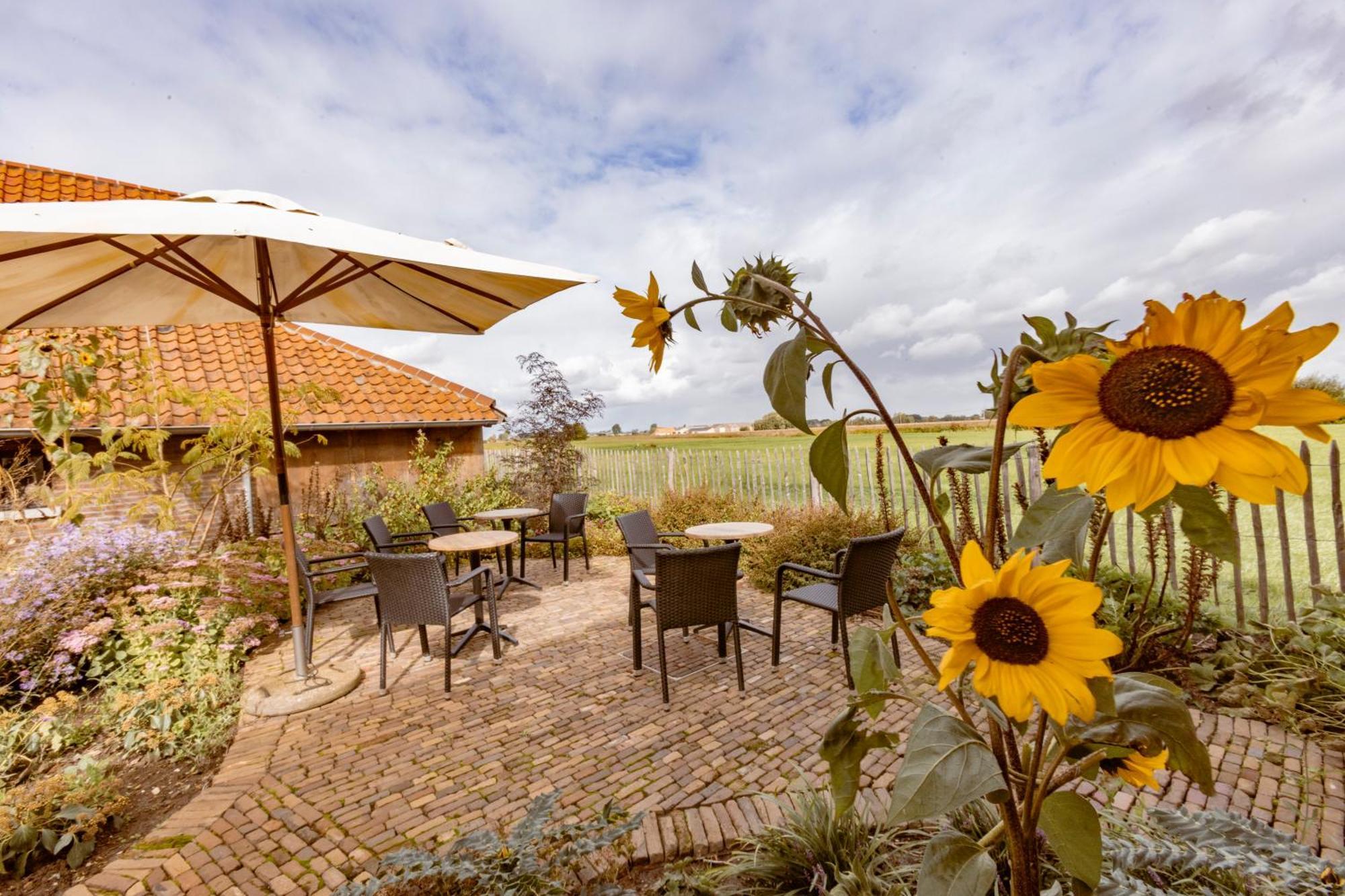 B&B Stefans Pottery Poperinge Esterno foto